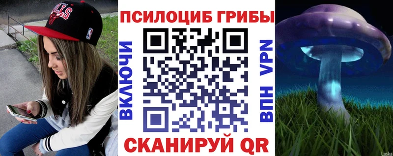 Псилоцибиновые грибы мицелий  наркота  Инта 